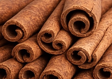MetaBurn Cinnamon Bark metabolism ingredient