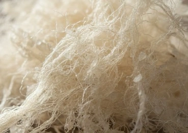 MetaBurn Konjac Fiber appetite control ingredient